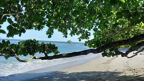 A More Fulfilling Life in Costa Rica