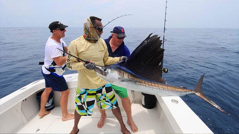 Whale Bay Costa Rica - Drone view