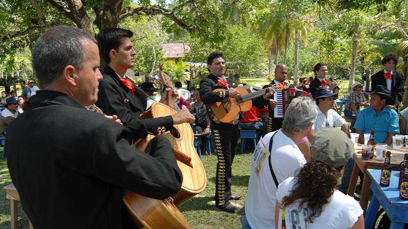 Sunset walk along the beach at Whale Bay