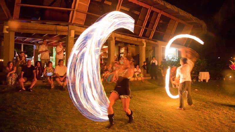 Scarlet Macaw in Costa Rica
